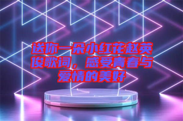 送你一朵小紅花趙英俊歌詞，感受青春與愛情的美好