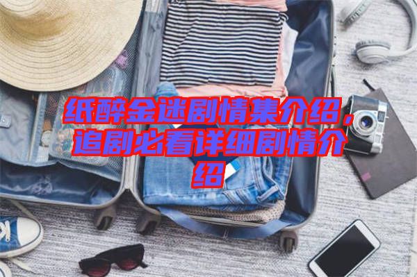 紙醉金迷劇情集介紹，追劇必看詳細劇情介紹