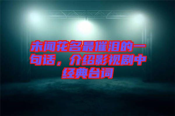 未聞花名最催淚的一句話，介紹影視劇中經典臺詞