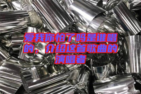 愛我你怕了嗎是誰唱的，介紹這首歌曲的演唱者