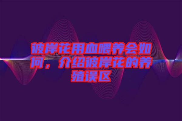 彼岸花用血喂養會如何，介紹彼岸花的養殖誤區