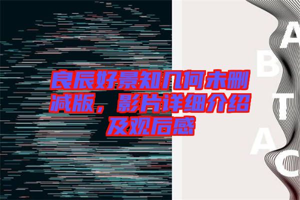 良辰好景知幾何未刪減版，影片詳細介紹及觀后感