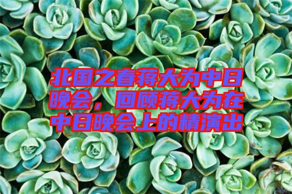 北國之春蔣大為中日晚會，回顧蔣大為在中日晚會上的精演出