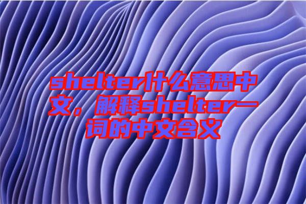 shelter什么意思中文，解釋shelter一詞的中文含義