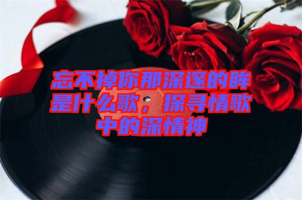 忘不掉你那深邃的眸是什么歌，探尋情歌中的深情神