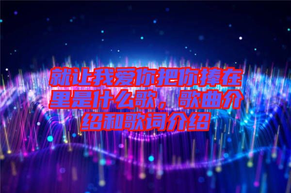 就讓我愛你把你捧在里是什么歌，歌曲介紹和歌詞介紹