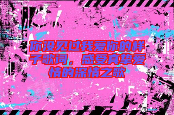 你沒見過我愛你的樣子歌詞，感受真摯愛情的深情之歌