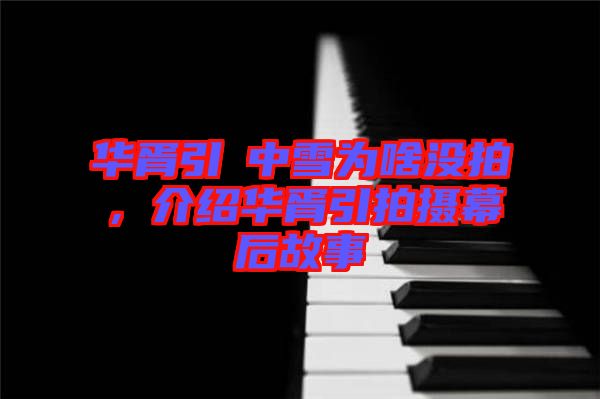 華胥引柸中雪為啥沒拍，介紹華胥引拍攝幕后故事