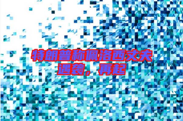 特朗普稱佩洛西丈夫遇襲，再起