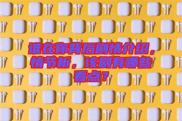 誰(shuí)在你背后劇情介紹，情節(jié)析，該劇有哪些看點(diǎn)？